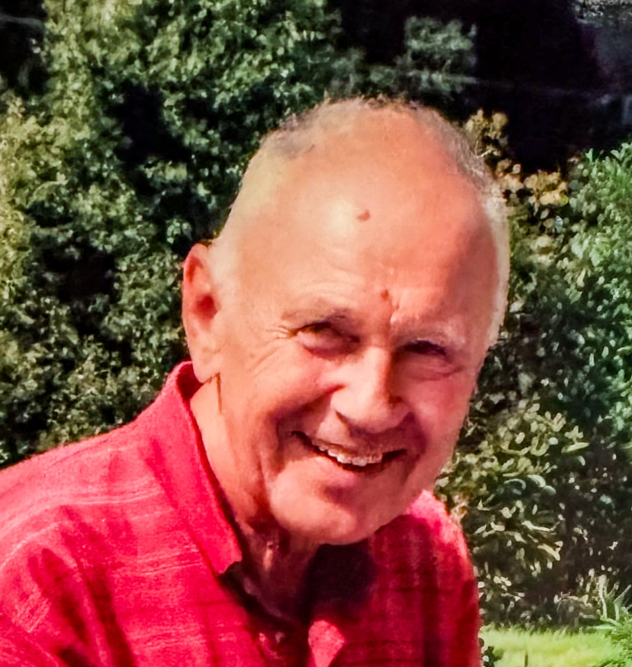 Thor Nordgård