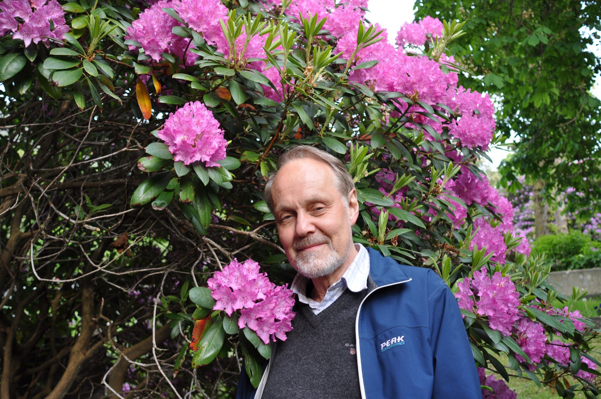 Øystein Olsen