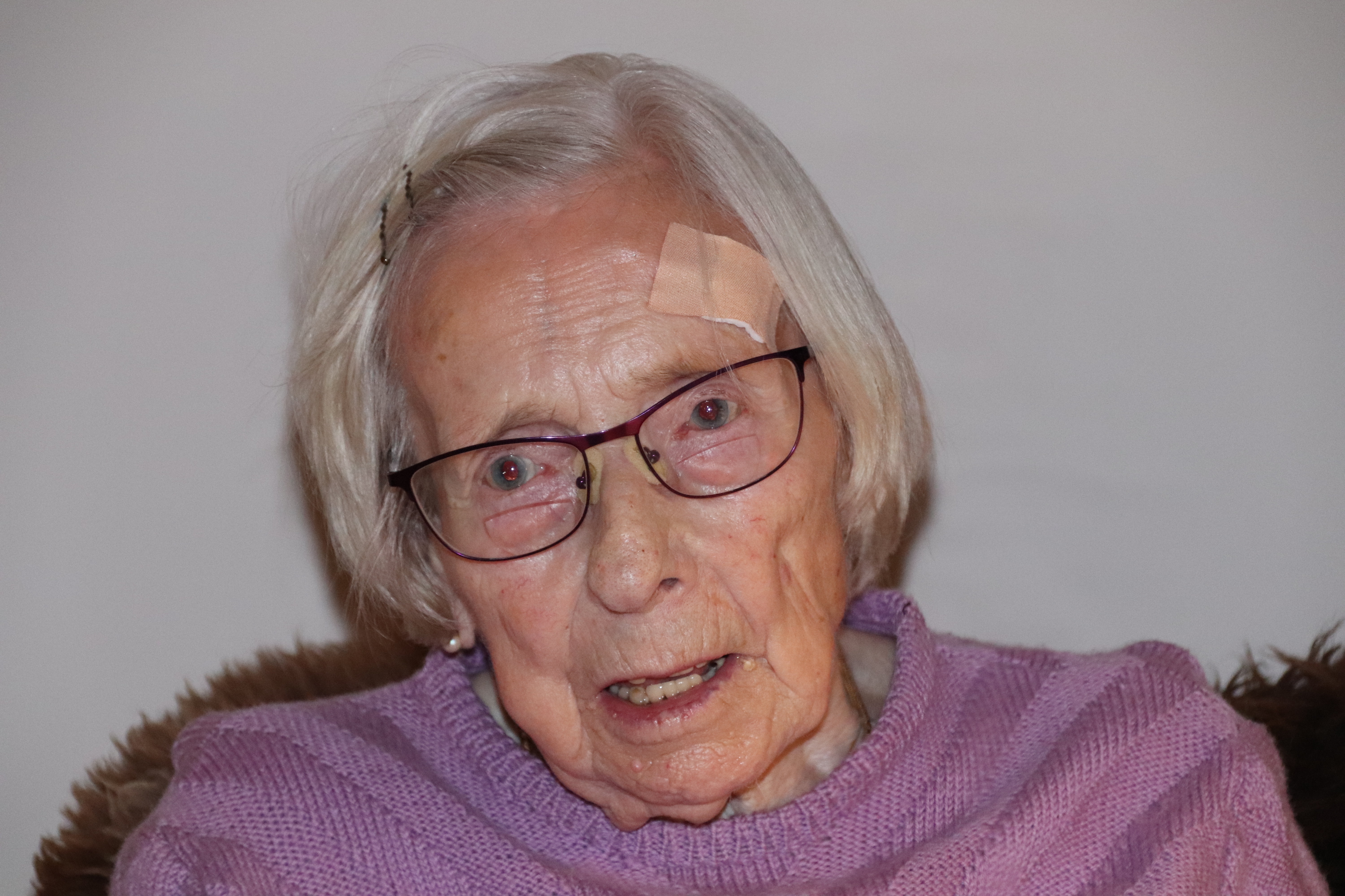 Willemke Hanche