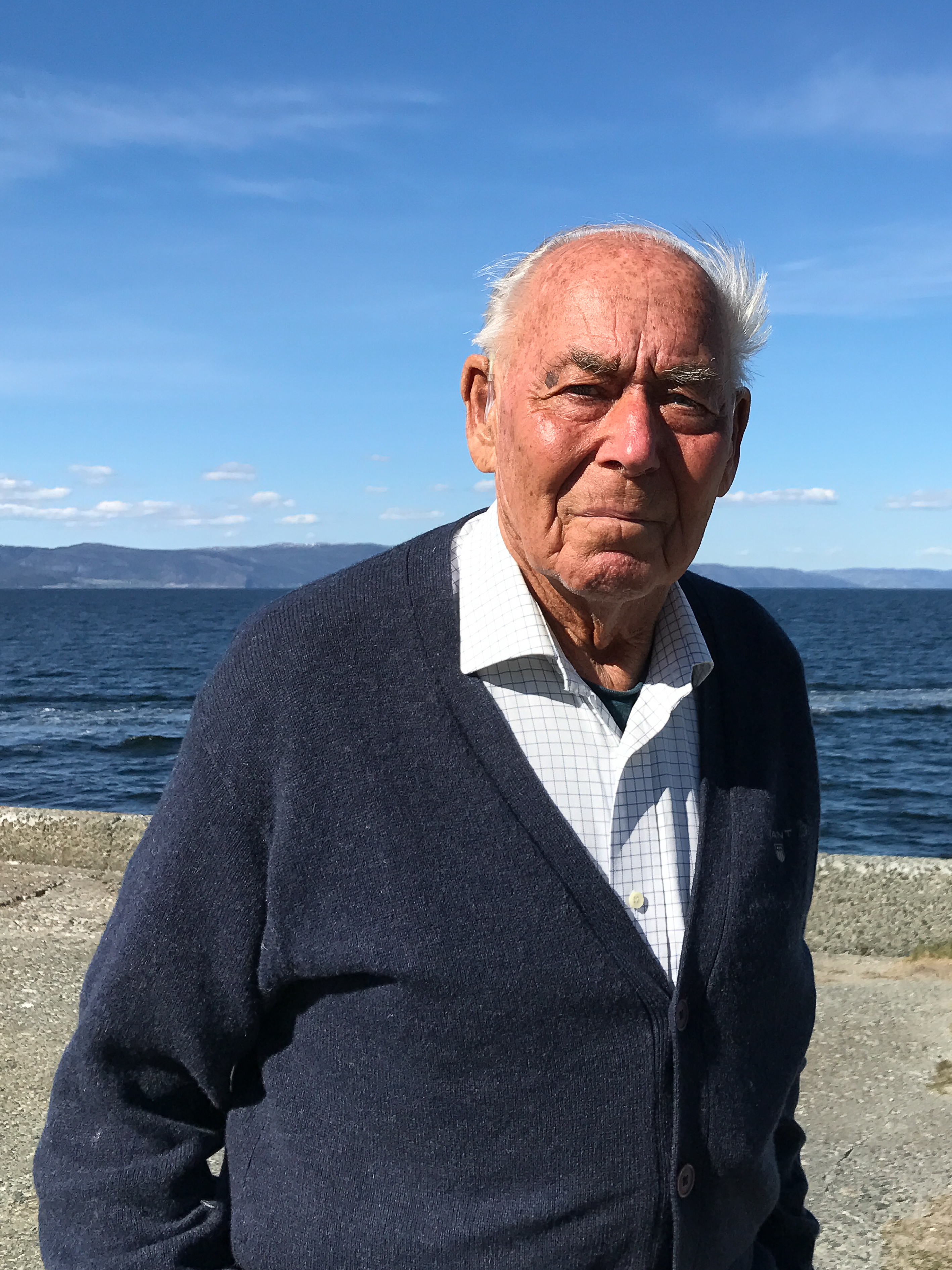 Henrik Arnold Dedichen