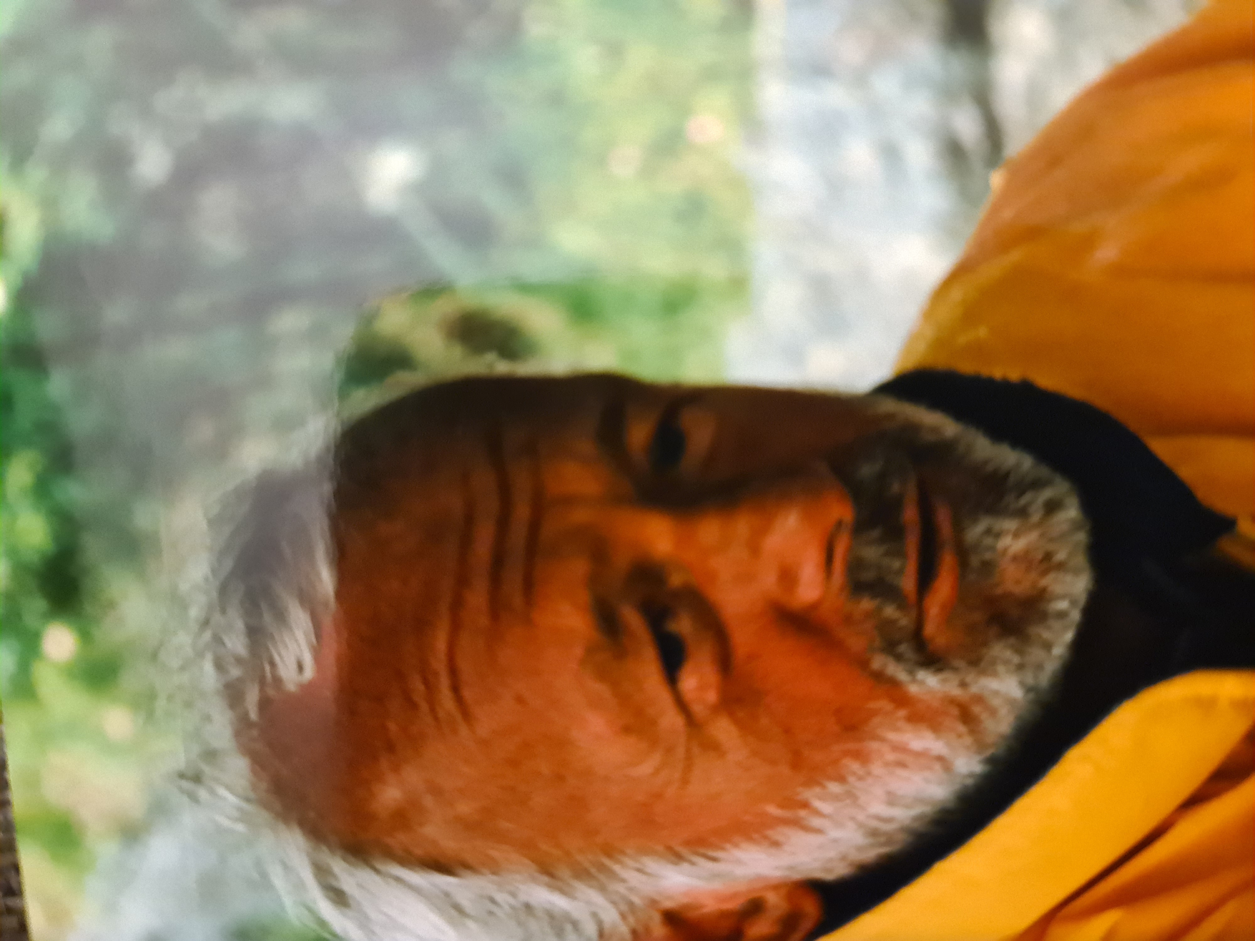 Johan Melander Lundin